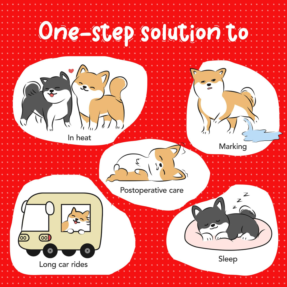 Furcato booster pads shown with washable pants for versatile daily care.