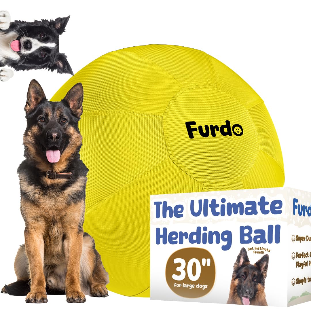 Furdo 30in Herding Ball yellow, dogs playing to burn energy and stay engaged.