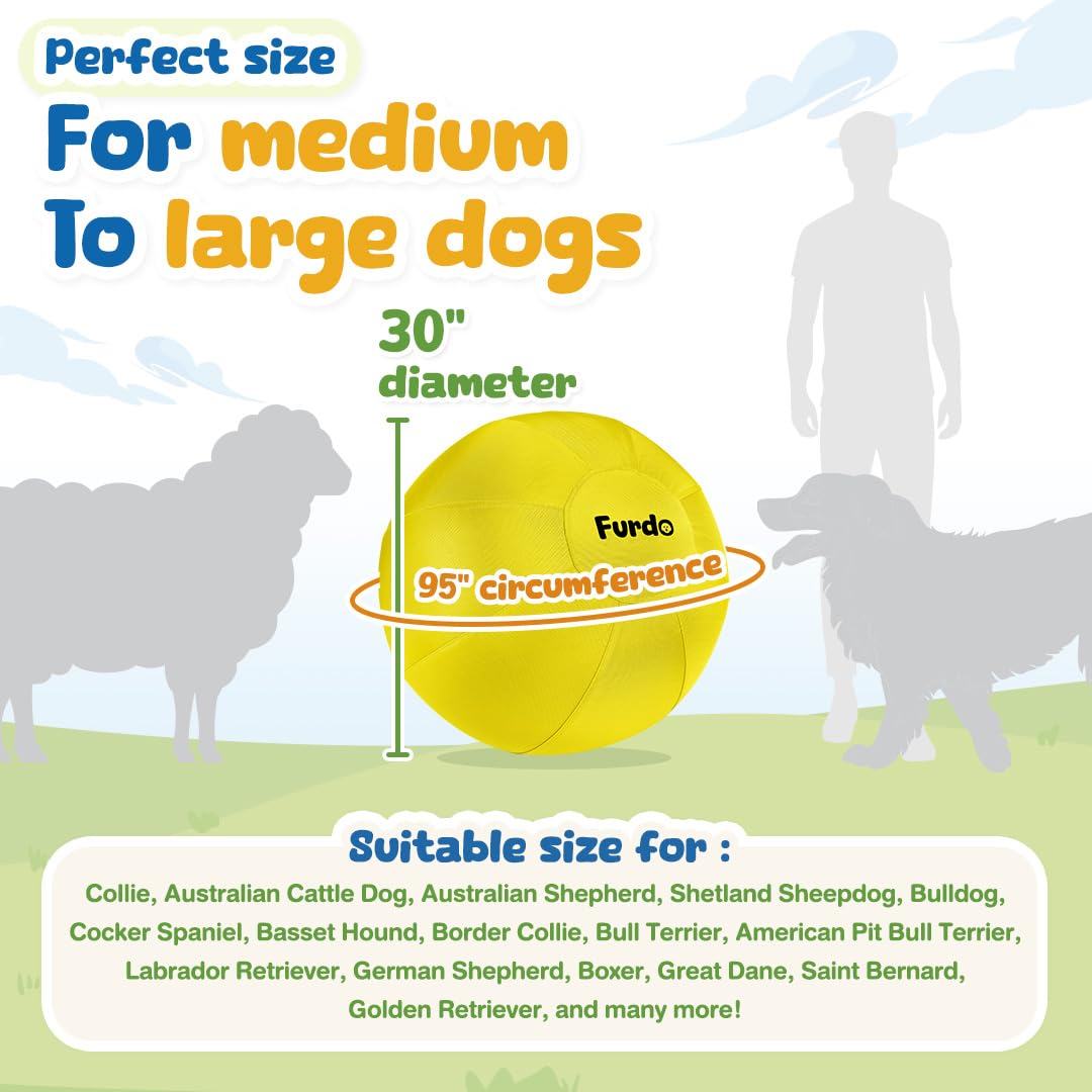 Furdo 30in Herding Ball in action with a border collie, promoting exercise.