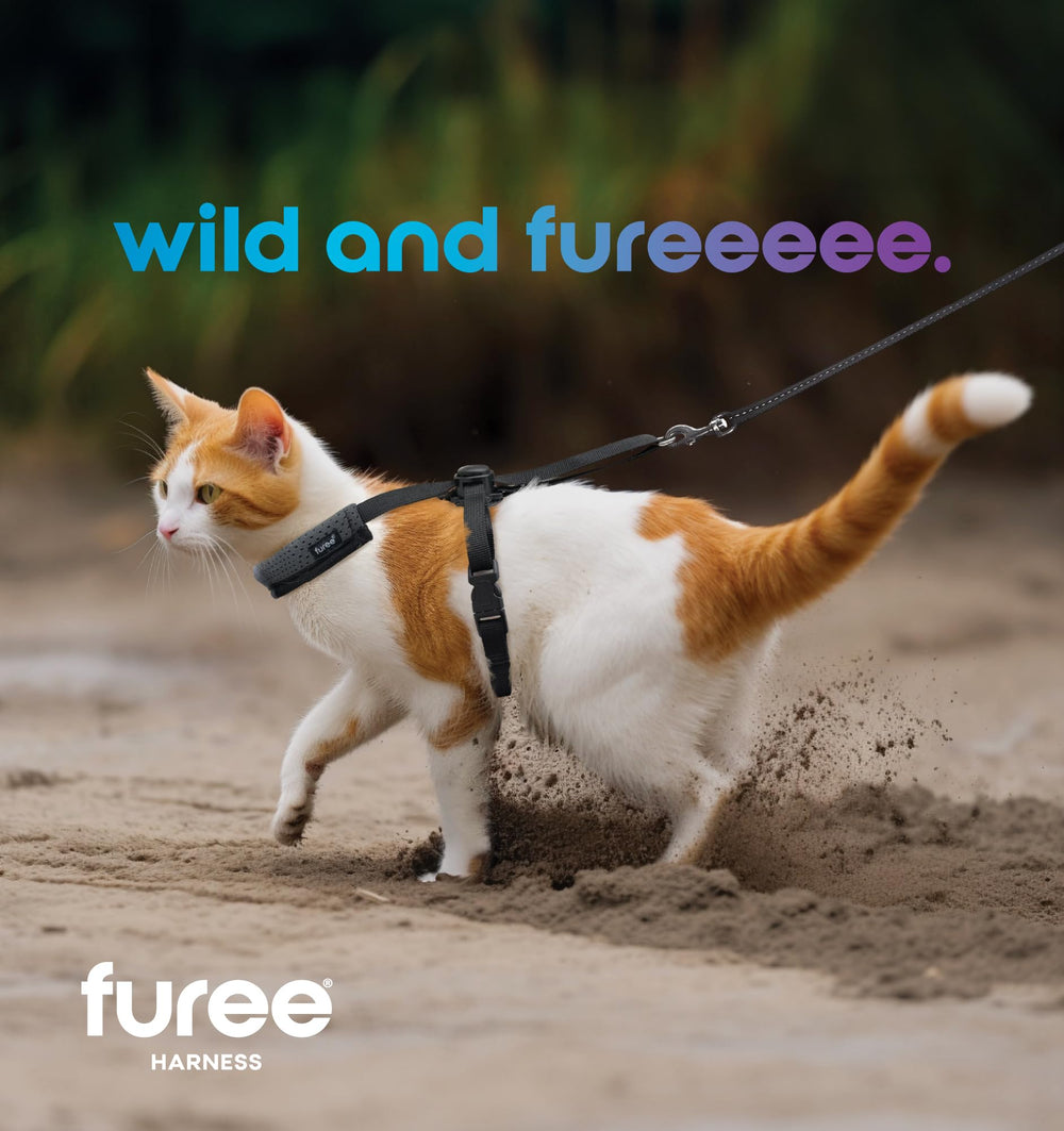 Furee Omni-fit harness neck size adjustable; view sizing chart for the fit.