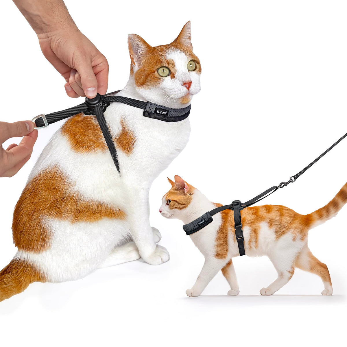 Furee Omni-fit harness single-button adjuster for quick, secure fit on cats.