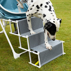 Furesh Big Dipper tub stairs extended for independent dog entry.