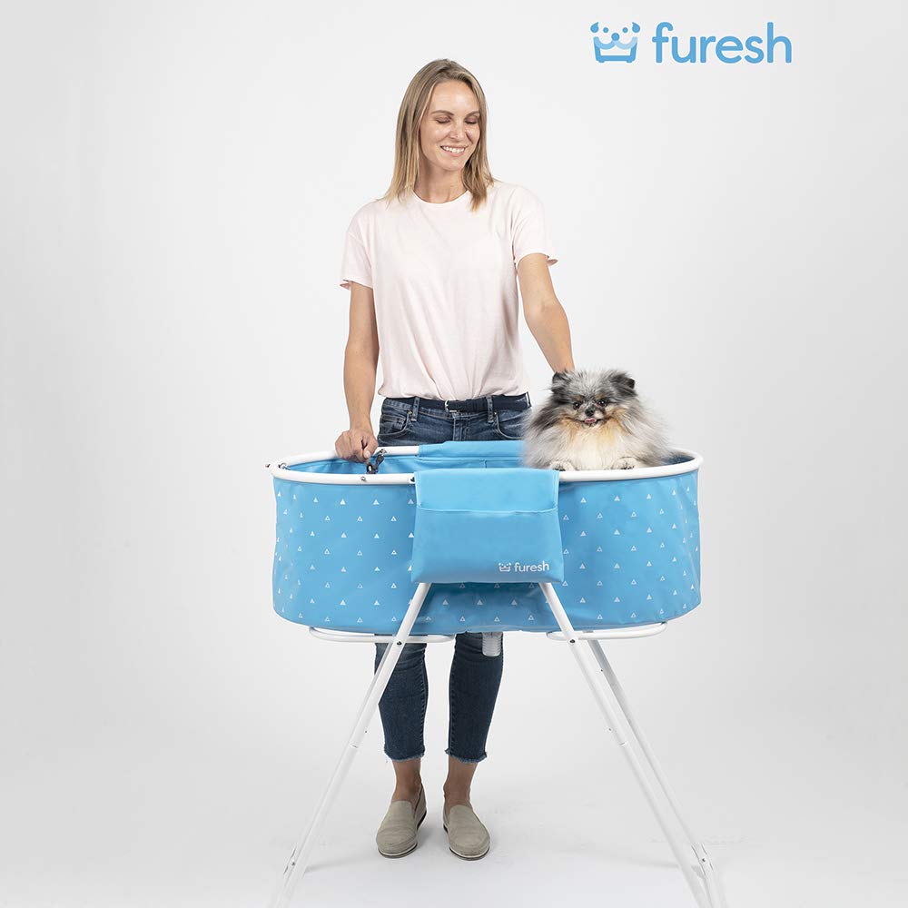 Furesh Little Dipper elevated height blue highlights back-friendly grooming height