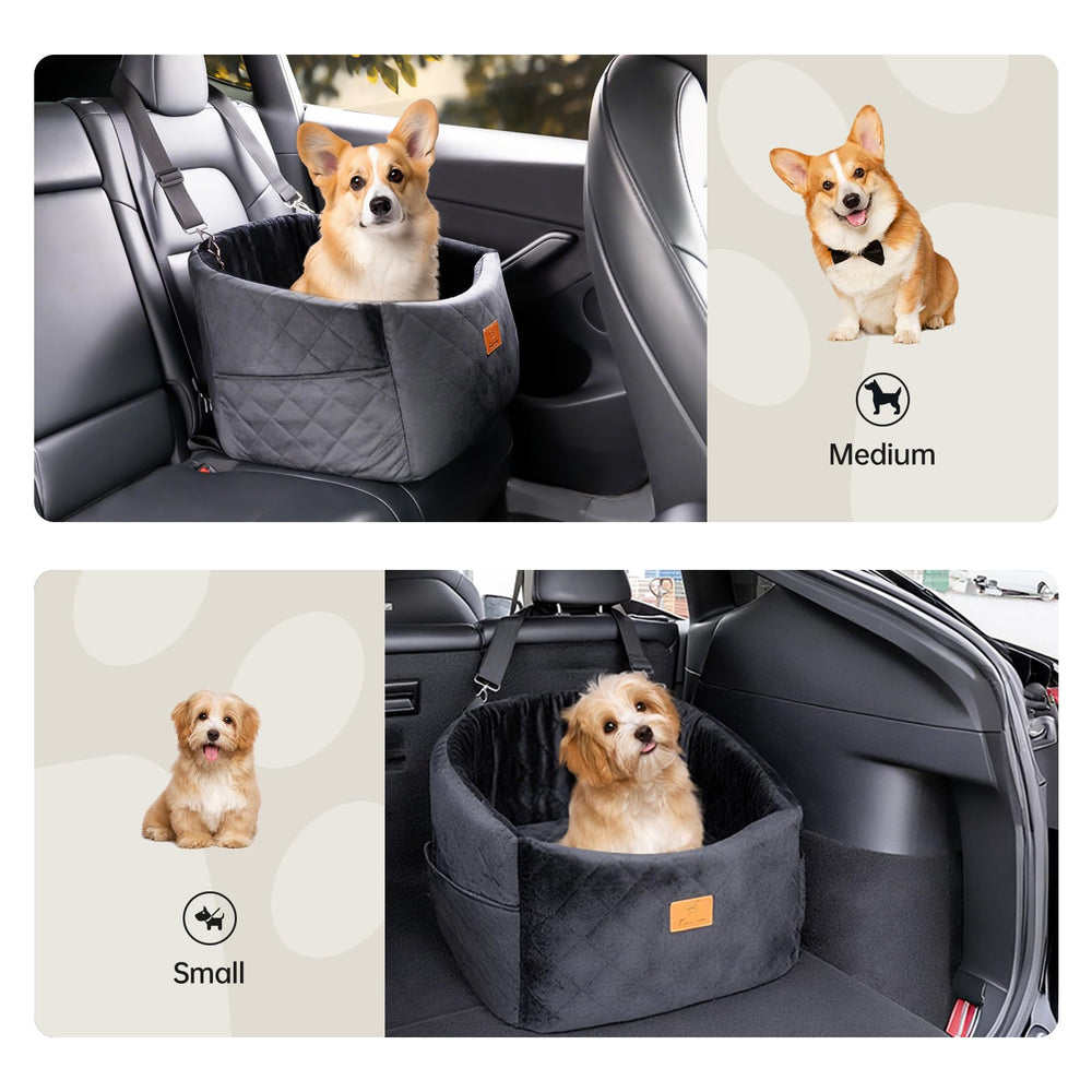 FurFrolic safety leash and anchors promote stable rides