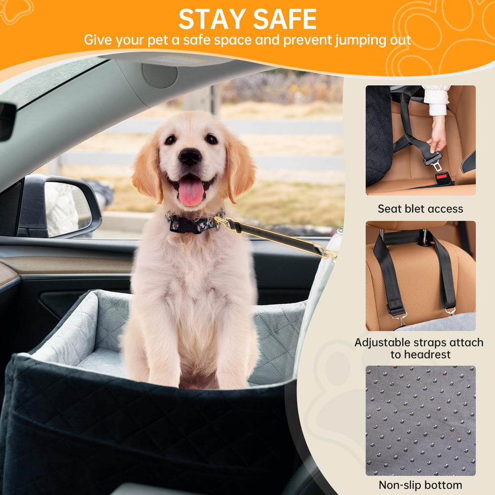 FurFrolic safety belts secure pets for safer road trips