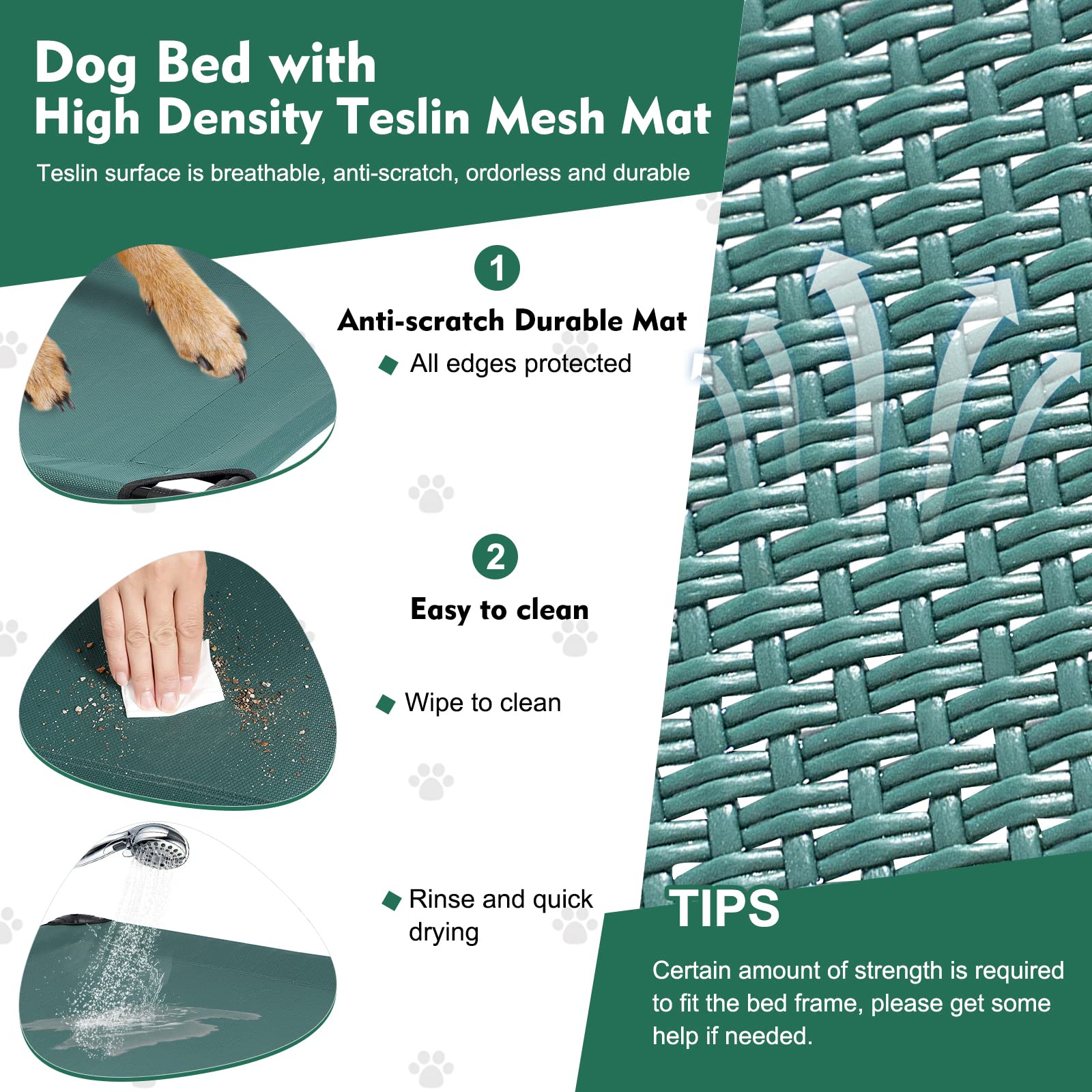Furggis elevated dog bed assembly image illustrates tool-free setup in minutes.