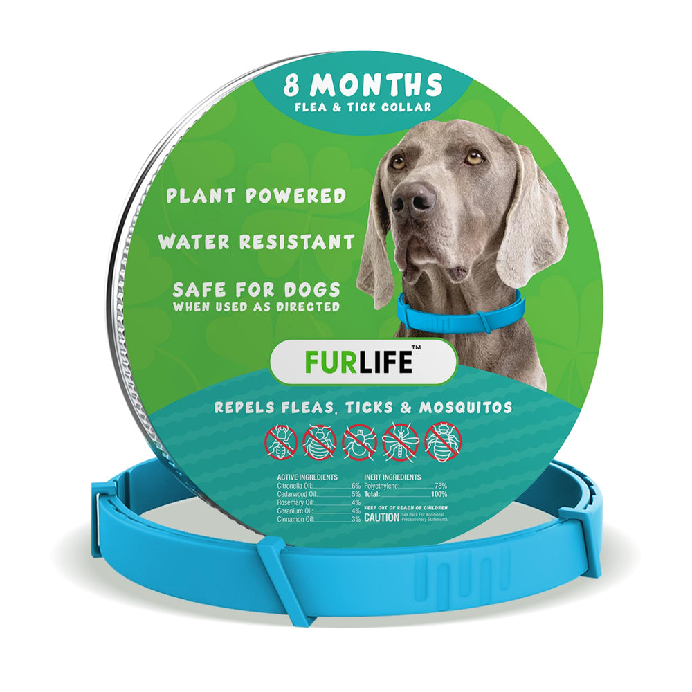 FurLife flea and tick collar blue on dog neck, long-lasting protection.
