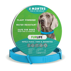 FurLife flea and tick collar blue on dog neck, long-lasting protection.