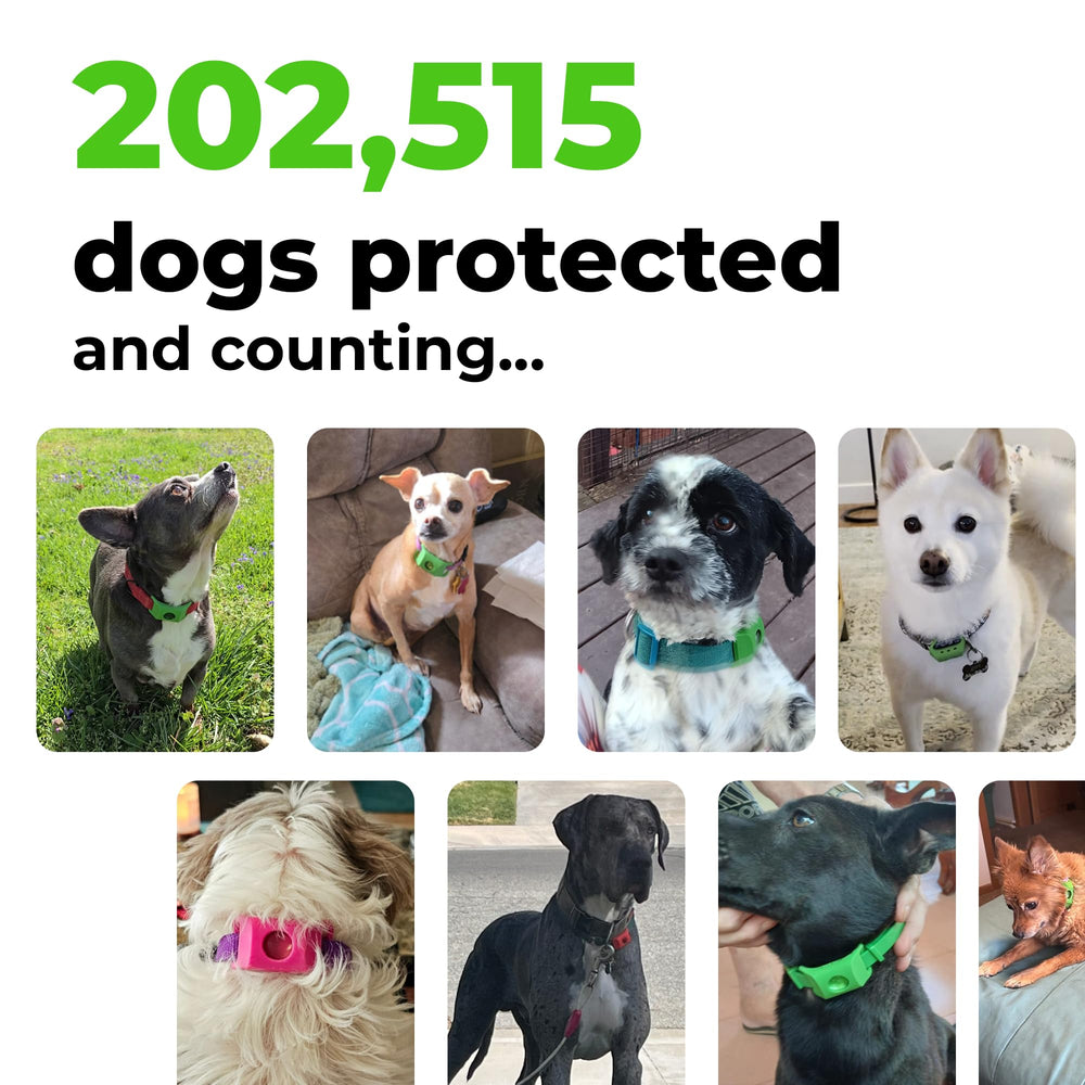 FurLife green dog tag packaging shows a lightweight option for all breeds.