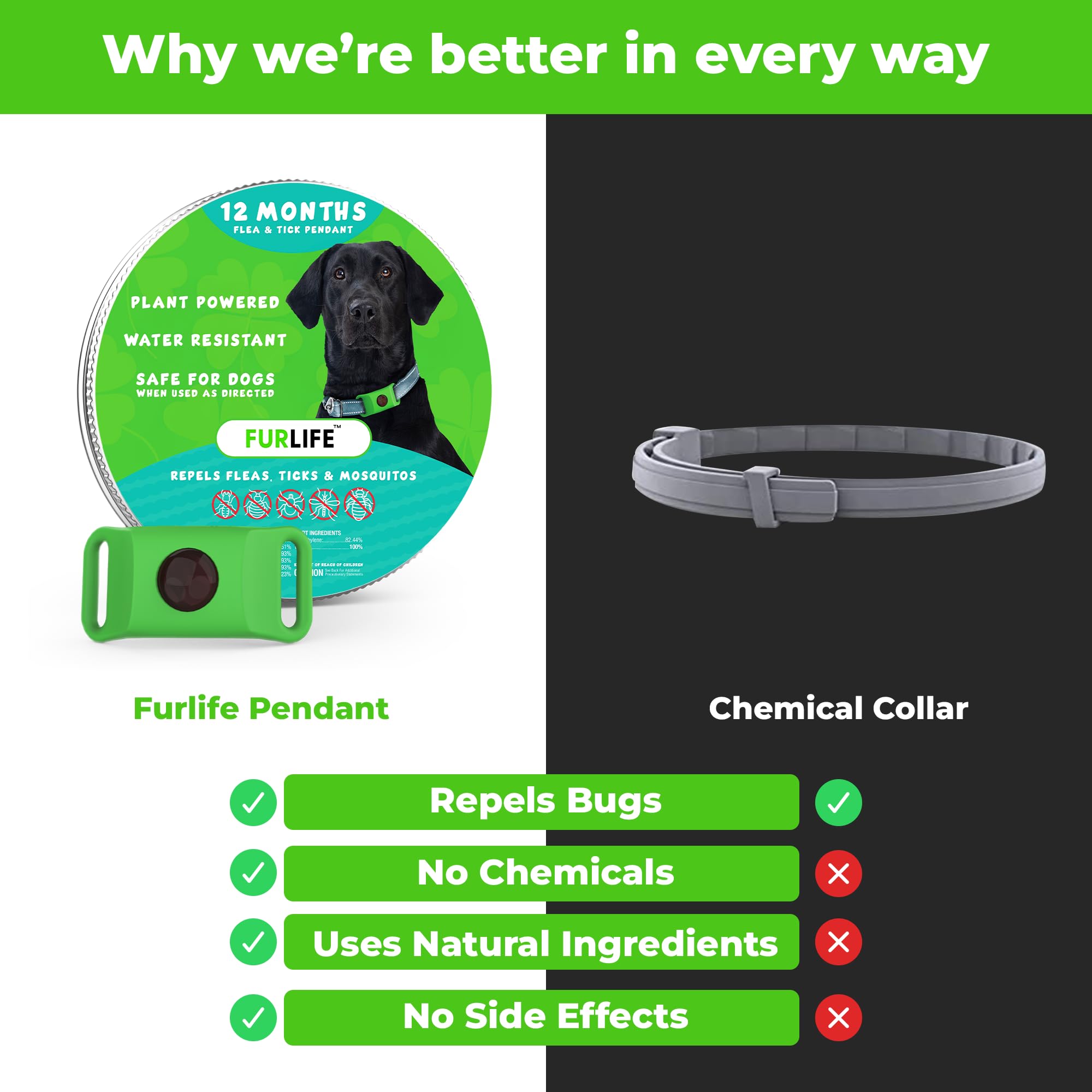 FurLife green dog tag waterproof-surface endures swimming and rain confidently.