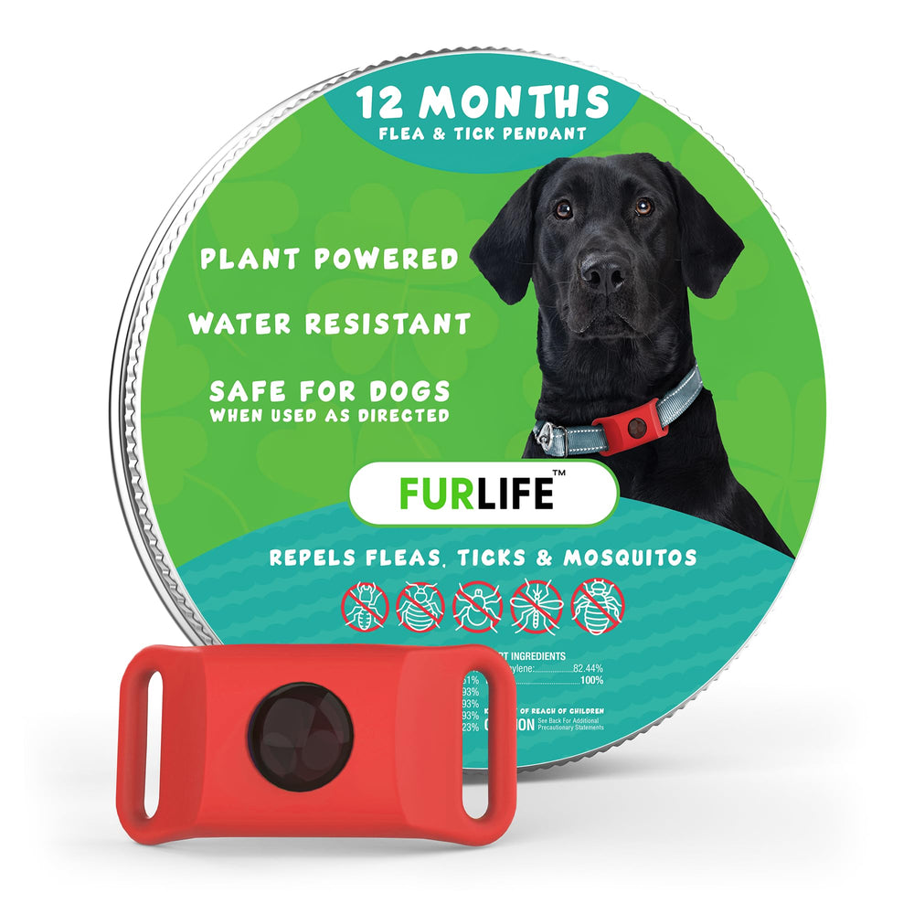 FurLife red dog tag on collar for quick identification during daily walks