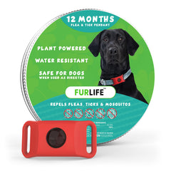 FurLife red dog tag on collar for quick identification during daily walks