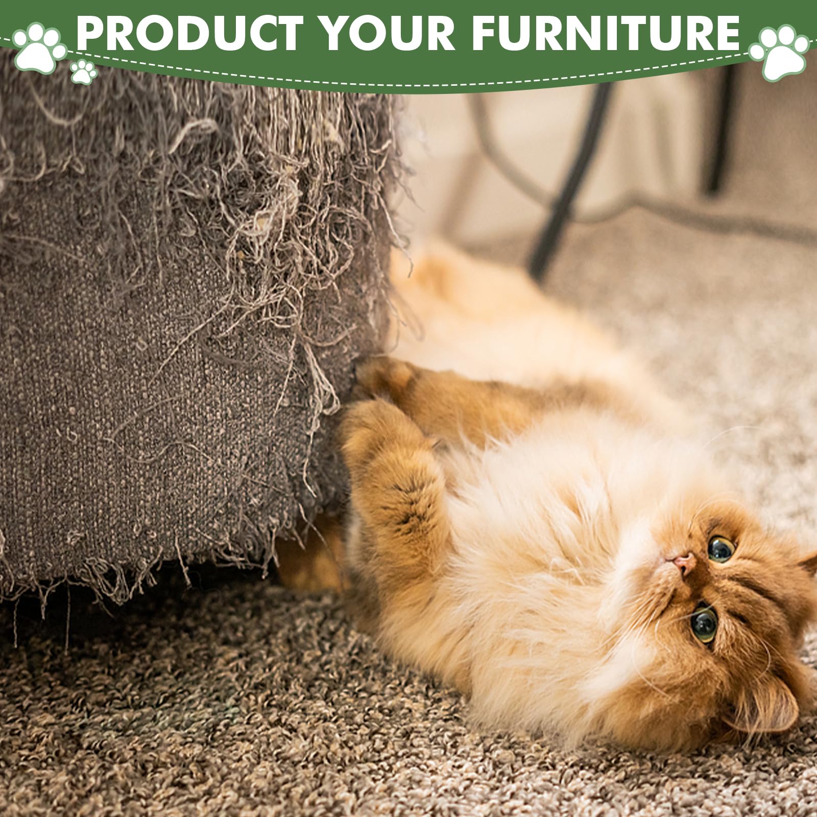 Furlogy indoor-cat height suits kittens and adults for healthy play sessions.