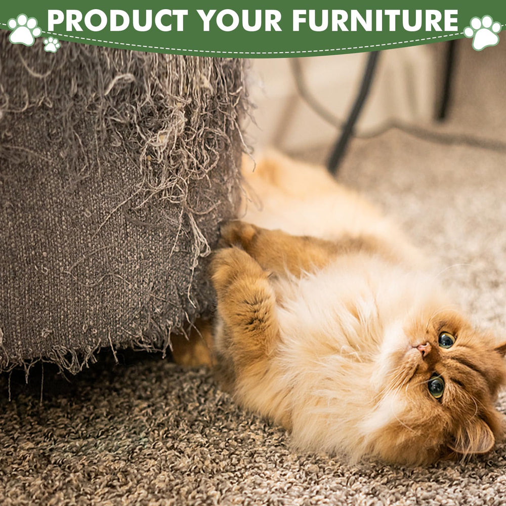 Furlogy indoor-cat height suits kittens and adults for healthy play sessions.