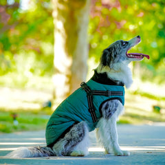 Furmate built-in harness close-up shows even weight distribution and secure fit