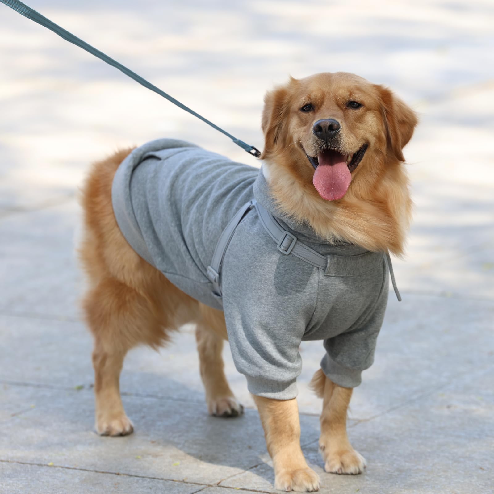 Furmate adjustable buckle harness detail for secure, easy control.