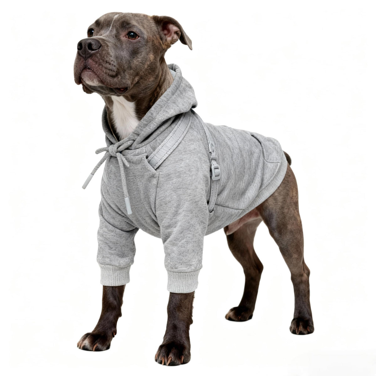 Furmate built-in harness closeup showing secure, evenly distributed pressure.