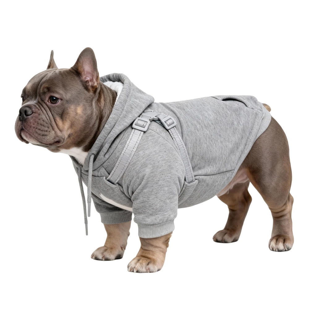 Furmate dog hoodie built-in harness shows secure, comfortable control during walks