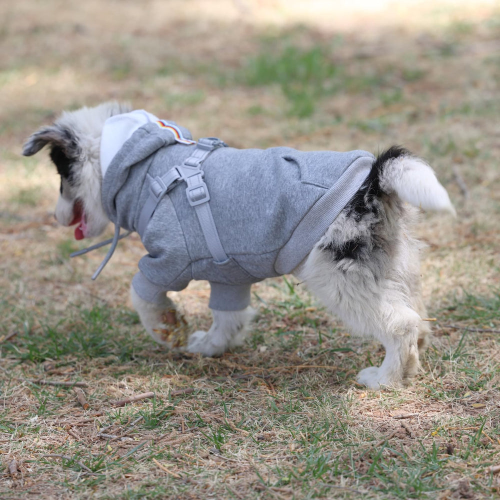 Furmate warm coverage ideal for cool-weather dog walks.