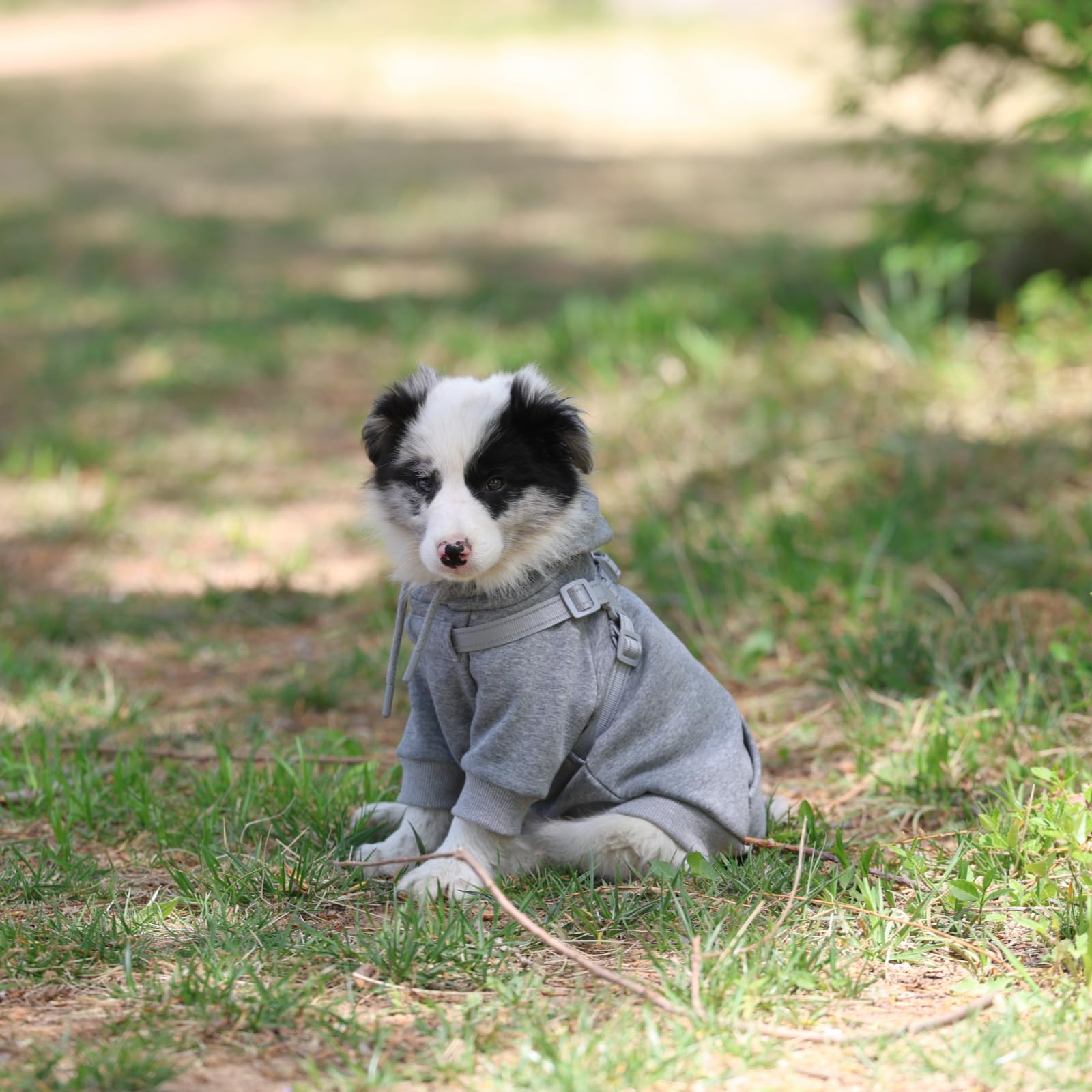 Furmate light grey XL hoodie provides lightweight warmth for winter wear