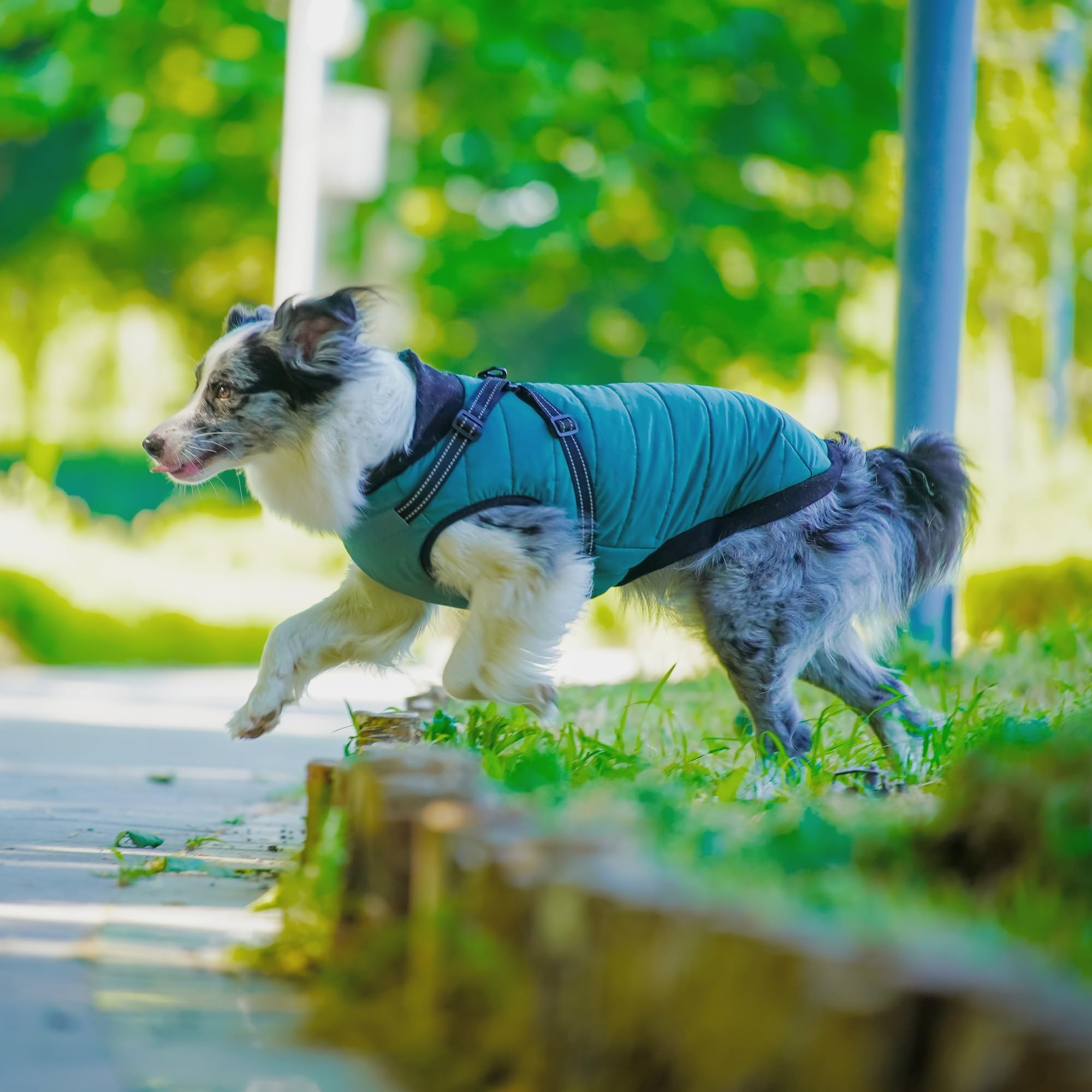 Furmate dog winter coat green back view shows harness attachment for leash control