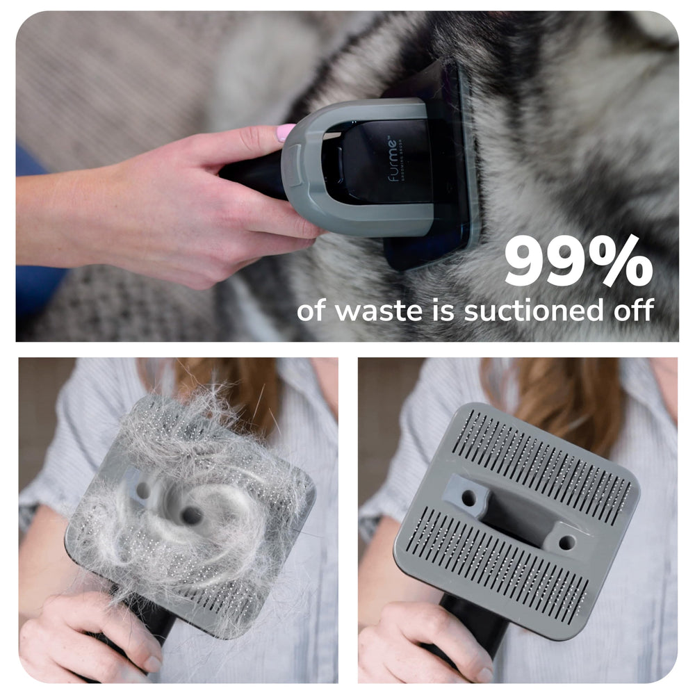 FurMe Original vacuum quiet operation shows pet-friendly 42-70 dB atmosphere