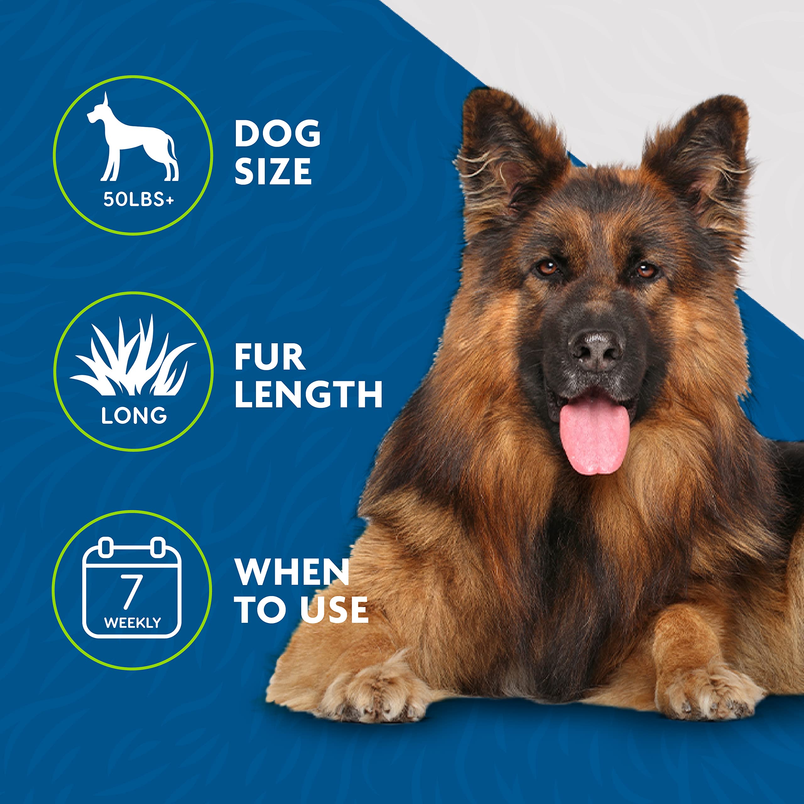 FURminator closeup shows efficient deshedding during grooming.