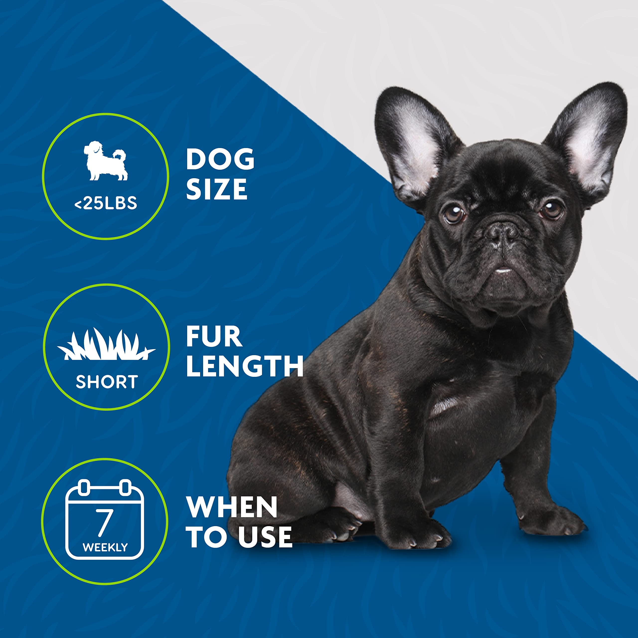 FURminator Small Dog Undercoat tool weekly-use reduces loose undercoat buildup.