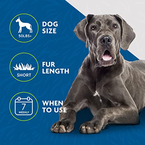 FURminator weekly grooming promotes cleaner living spaces by reducing shed hair with regular use.