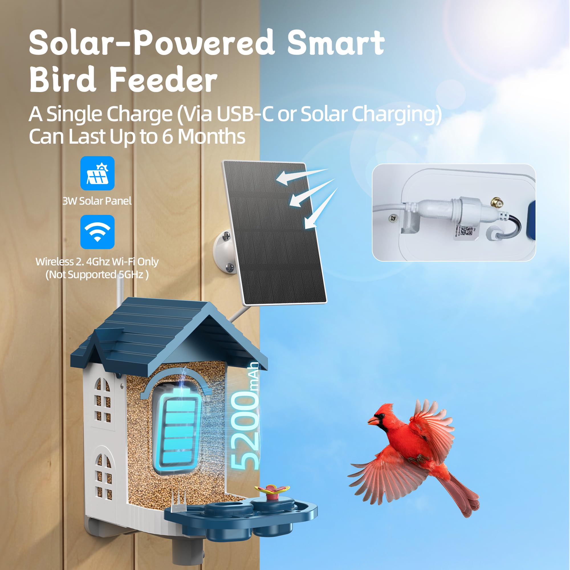 FUROBAG cloud or SD storage options save bird videos for sharing