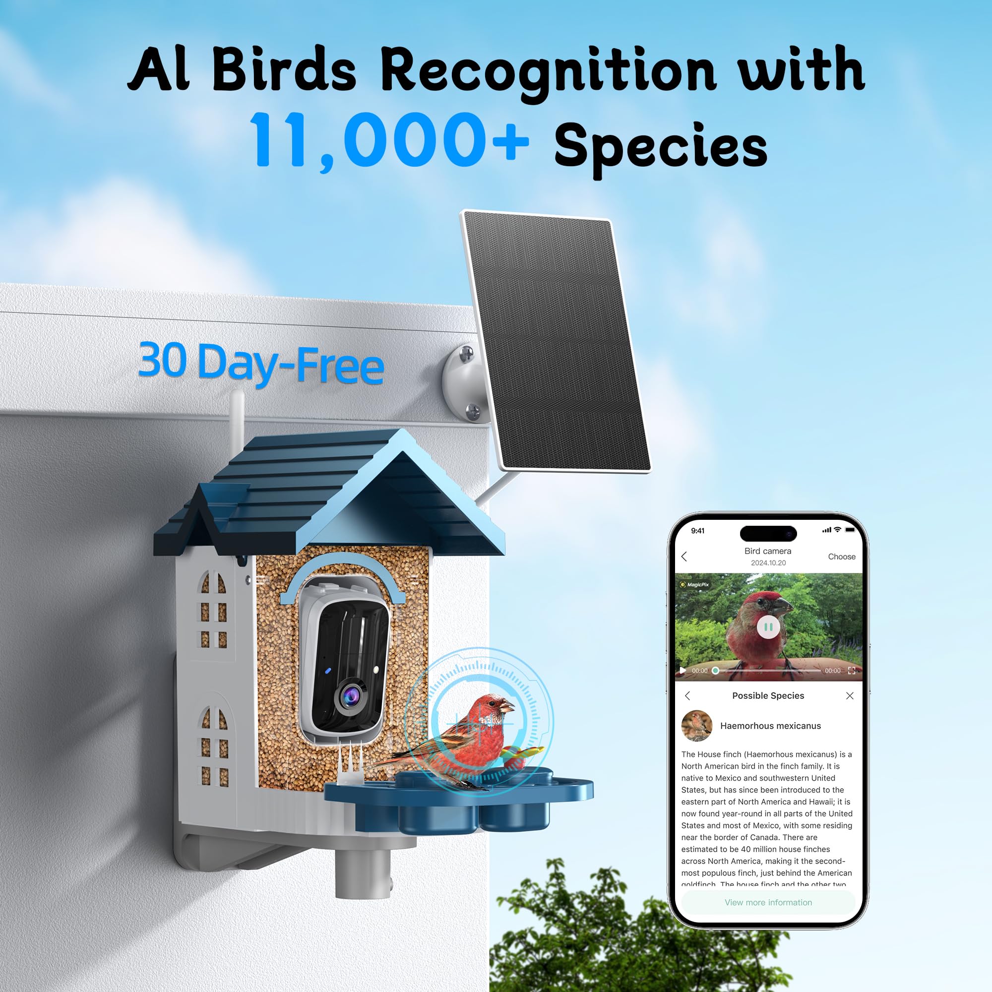 FUROBAG infrared night vision reveals dusk and night bird activity