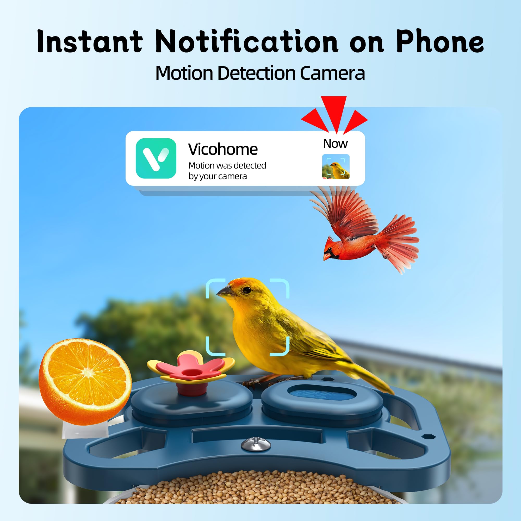 FUROBAG outdoor AI feeder powered by solar supports continuous birdwatching