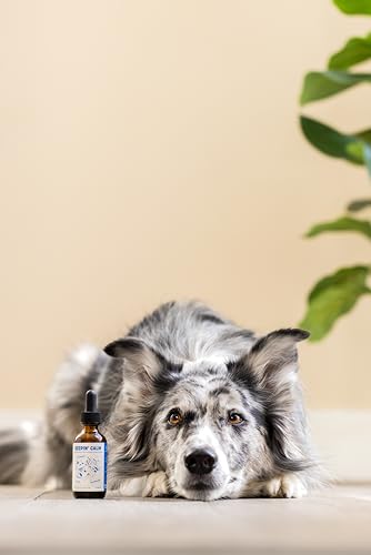 Furpect Keepin' Calm dropper being used for easy dosing for pets