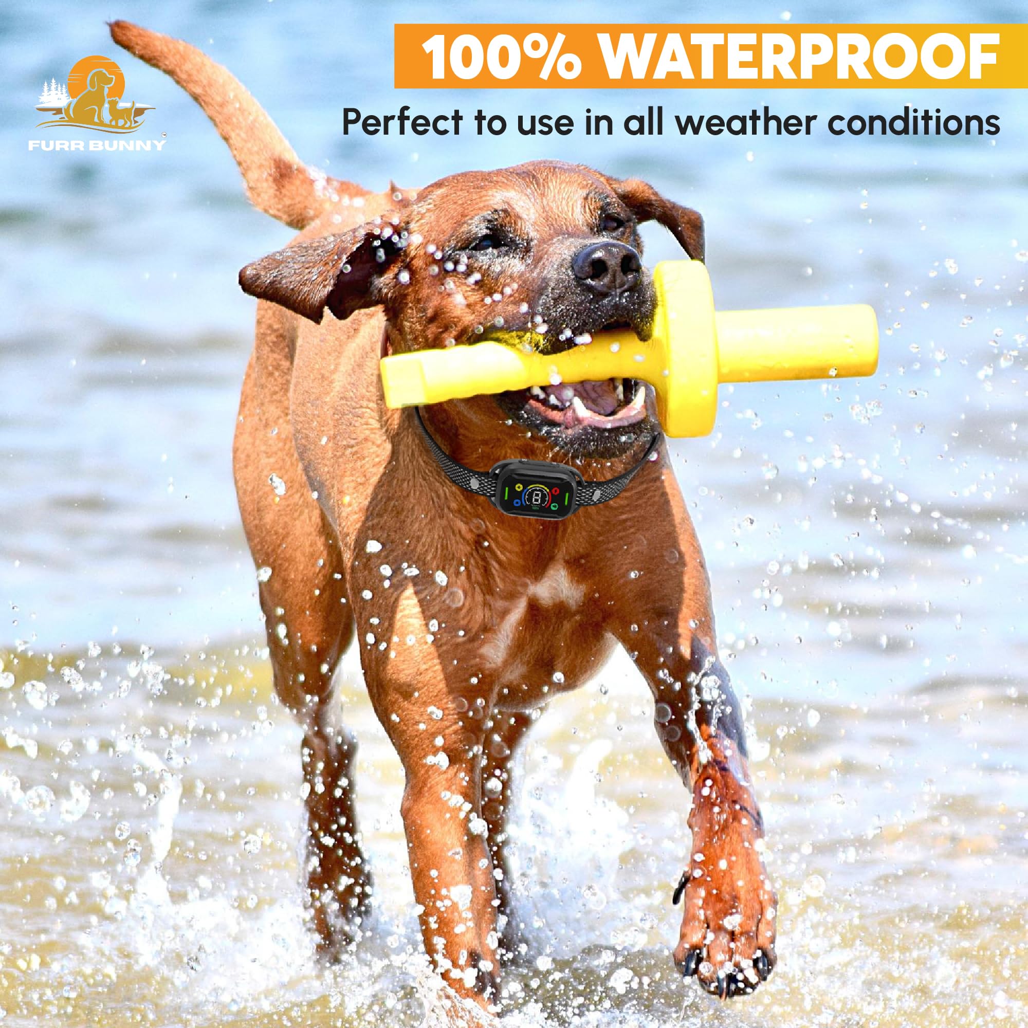 FURR BUNNY 75-second auto-protection helps prevent overstimulation during training.