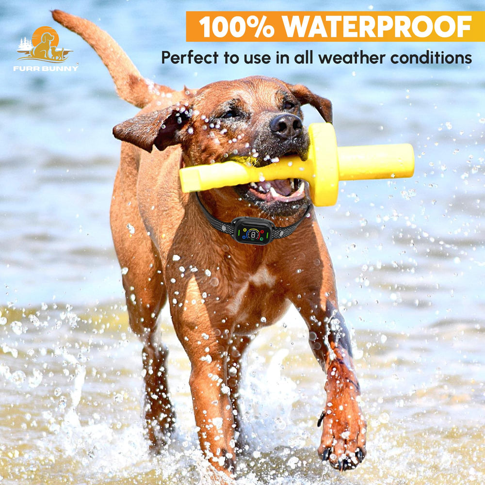 FURR BUNNY 75-second auto-protection helps prevent overstimulation during training.