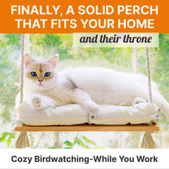 Furrfinity cat window perch suction cups showing rugged grip for 42 lb load