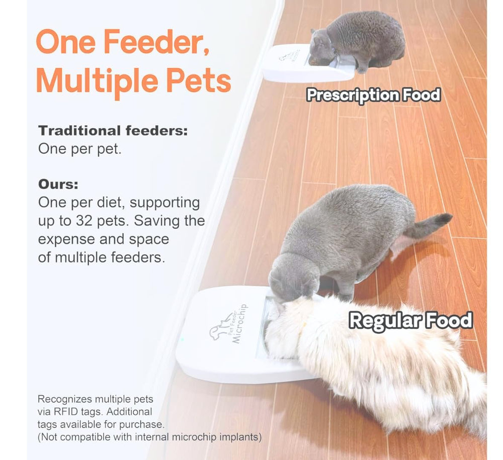 Furrify LED display aids easy four-meal planning and timing control.