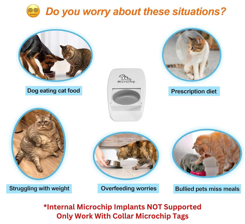 Furrify automatic feeder RFID dry-wet food compatibility enables flexible meal options.
