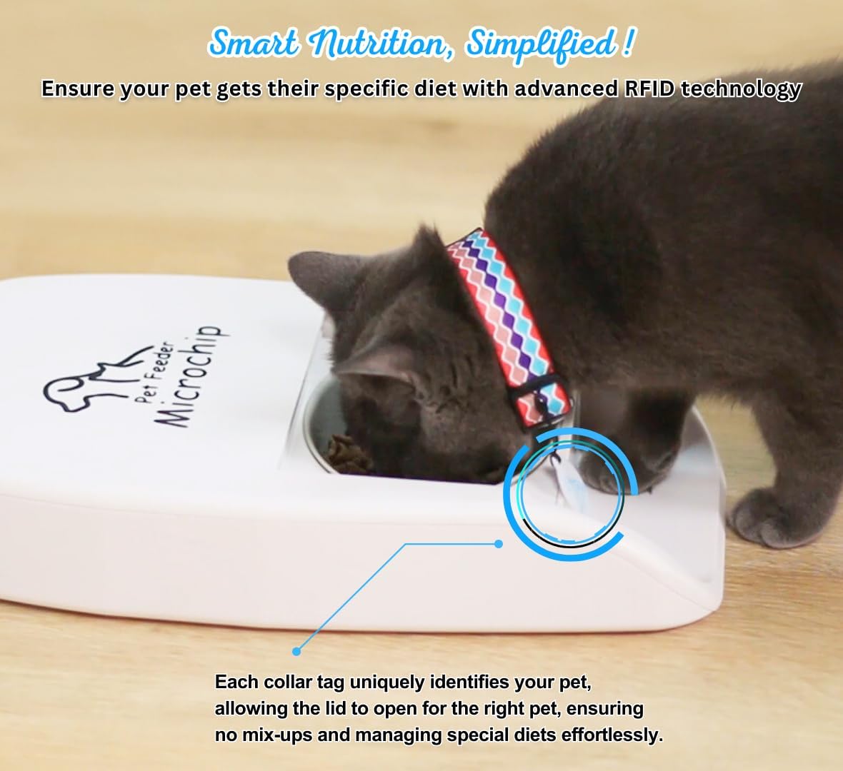 Furrify RFID-tags-with-collar assignment image demonstrates easy multi-pet management.