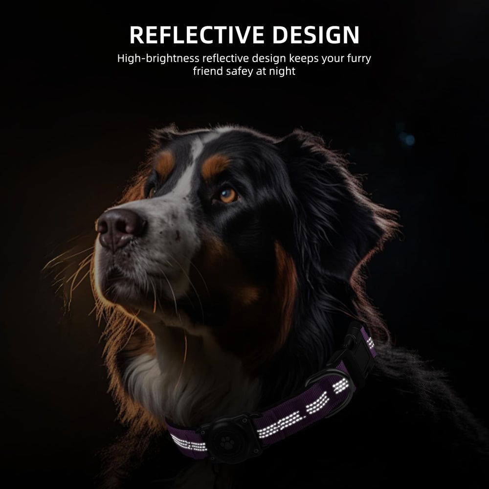 Furrigo AirTag Collar Reflective Stitching at night boosts visibility and safety.