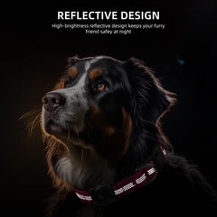 Furrigo AirTag Collar reflective stitching for safer nighttime walks.