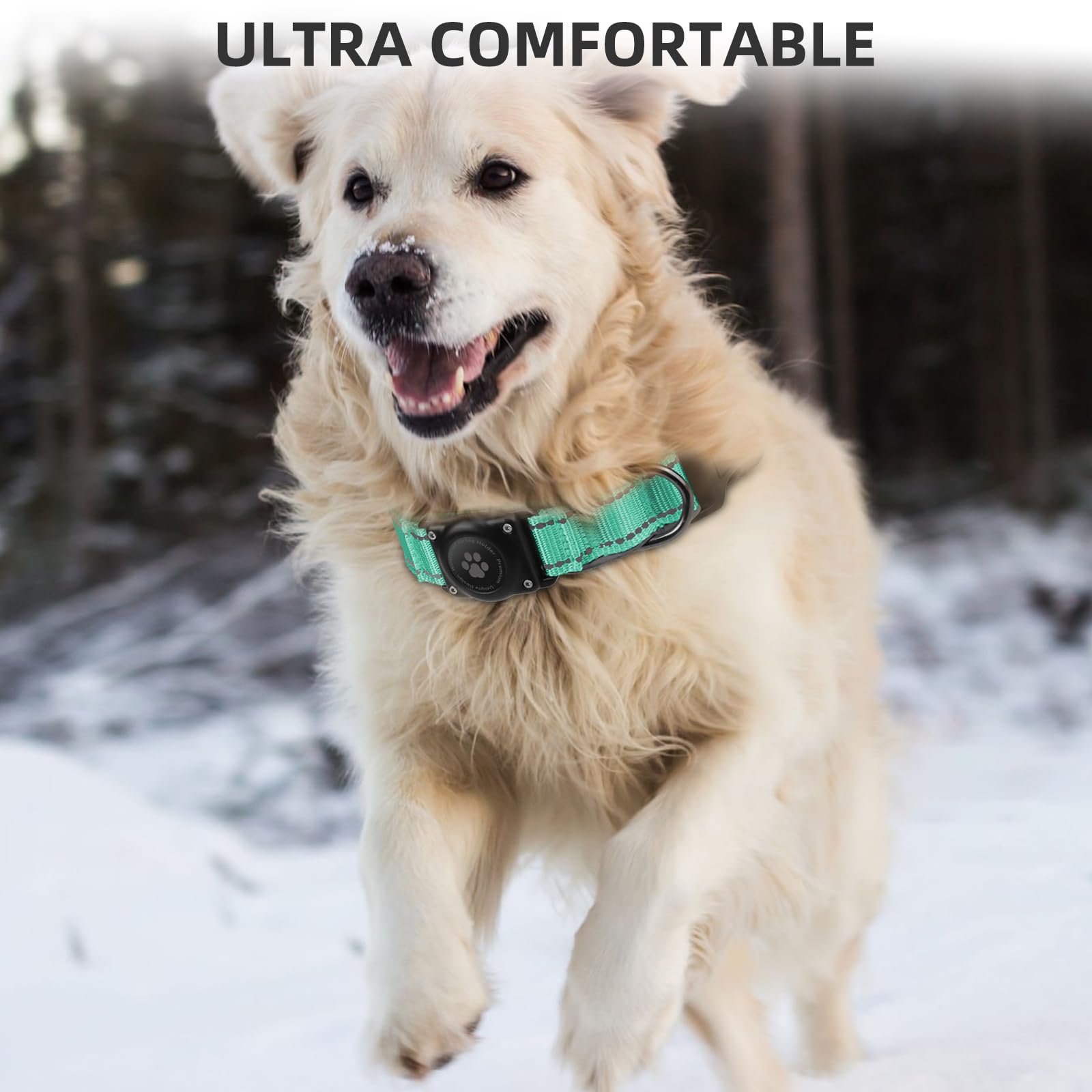 Furrigo Airtag Dog Collar teal adjustable strap fits multiple dog sizes