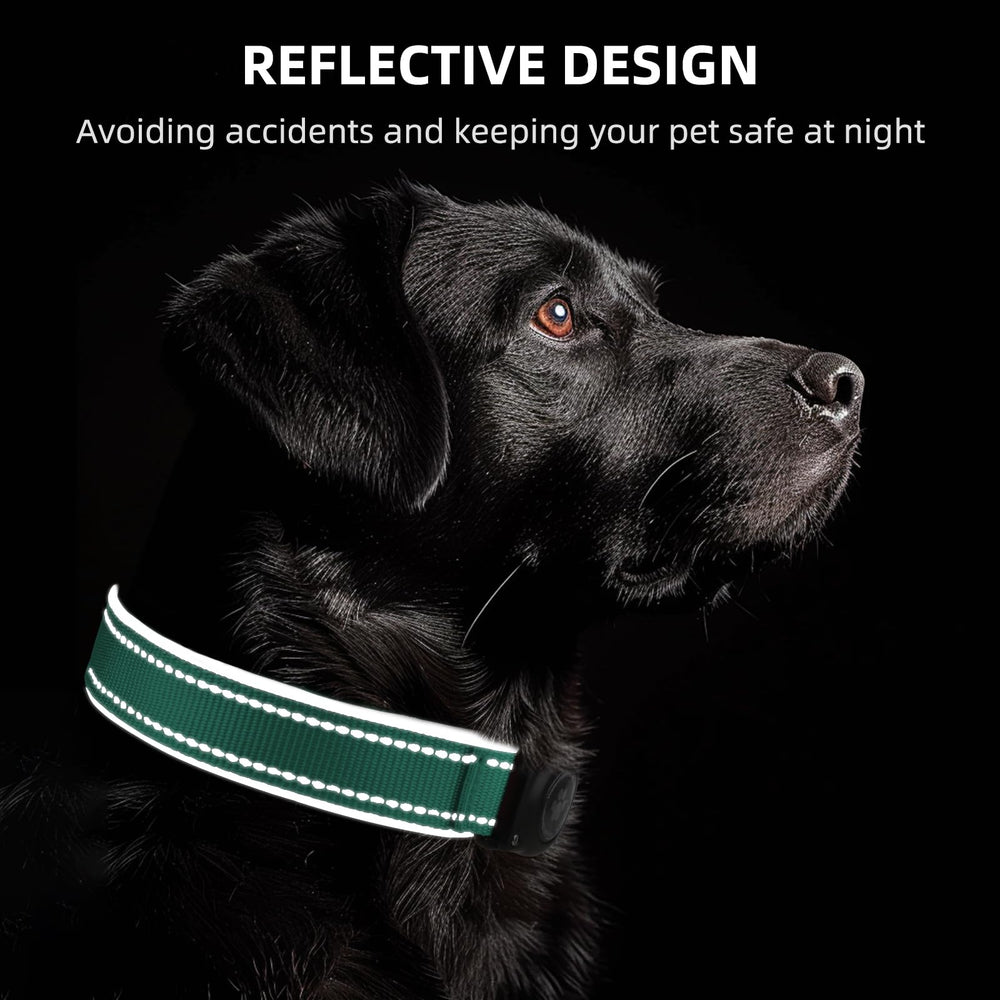 Furrigo Airtag Dog Collar teal reflective trim boosts visibility
