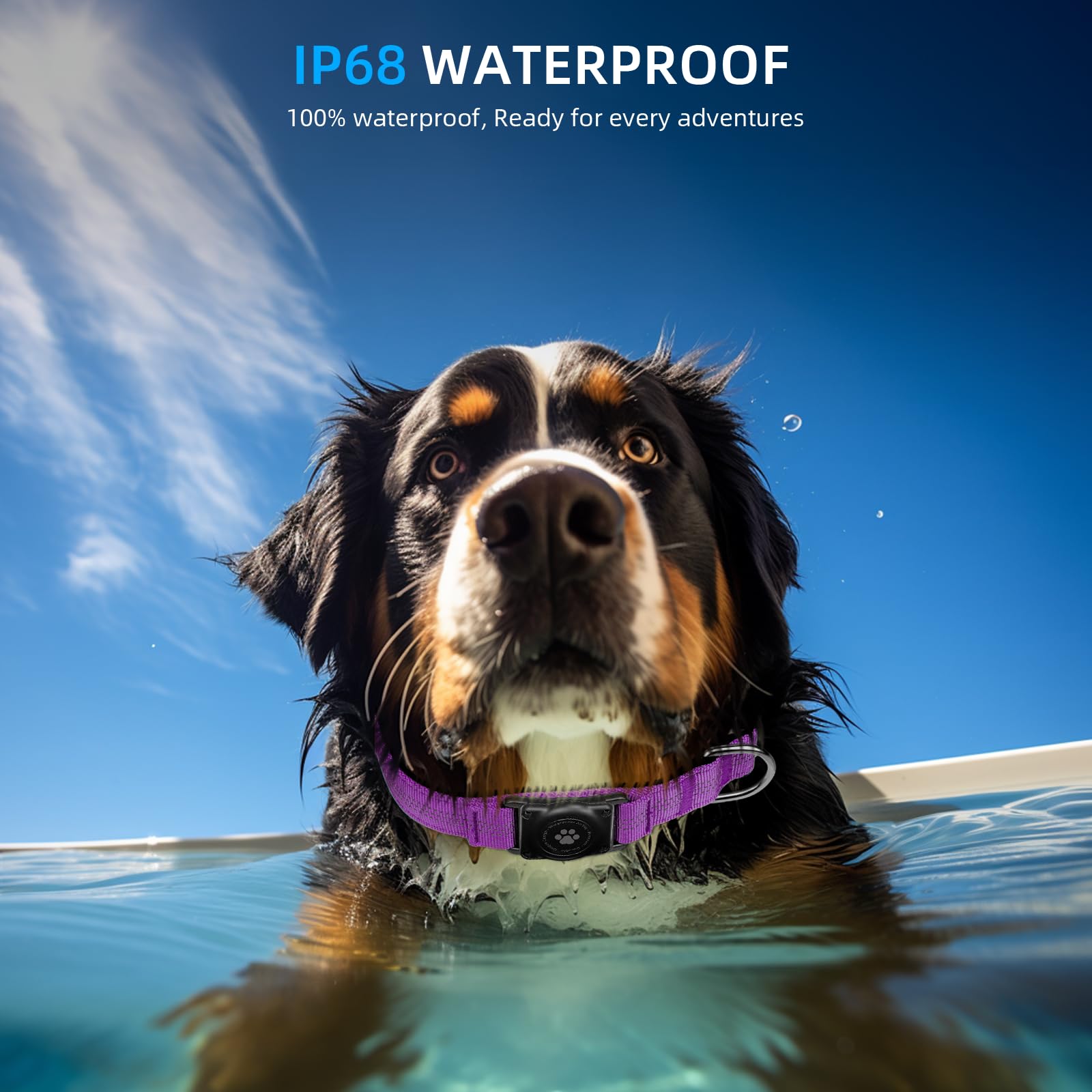 Furrigo AirTag Collar Waterproof Seal demonstrates IP68 protection for outdoor adventures.