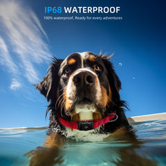 Furrigo Upgraded AirTag Dog Collar waterproof and dustproof design protects the AirTag outdoors.