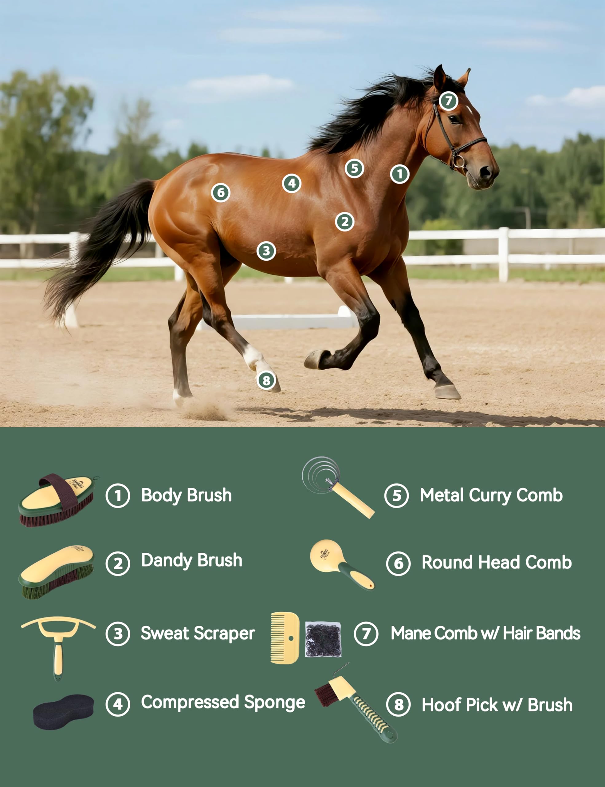 Furrishine grooming kit sweat scraper for quick bath prep and dirt removal