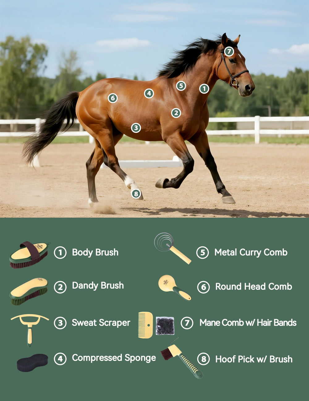 Furrishine grooming kit sweat scraper for quick bath prep and dirt removal
