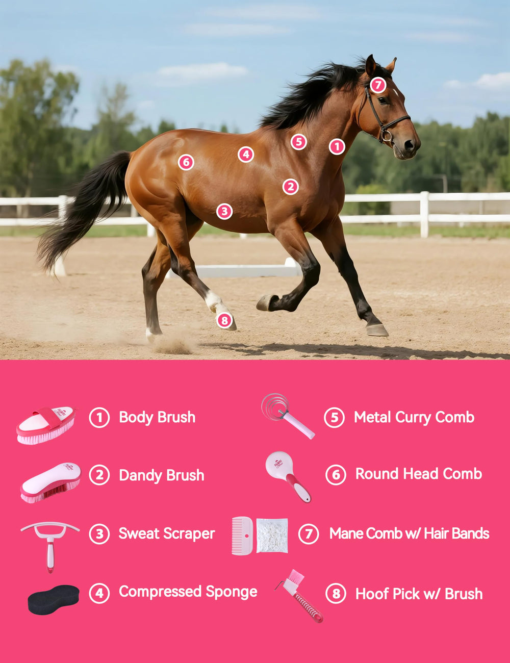 Furrishine dandy-brush closeup for detangling and coat shine.