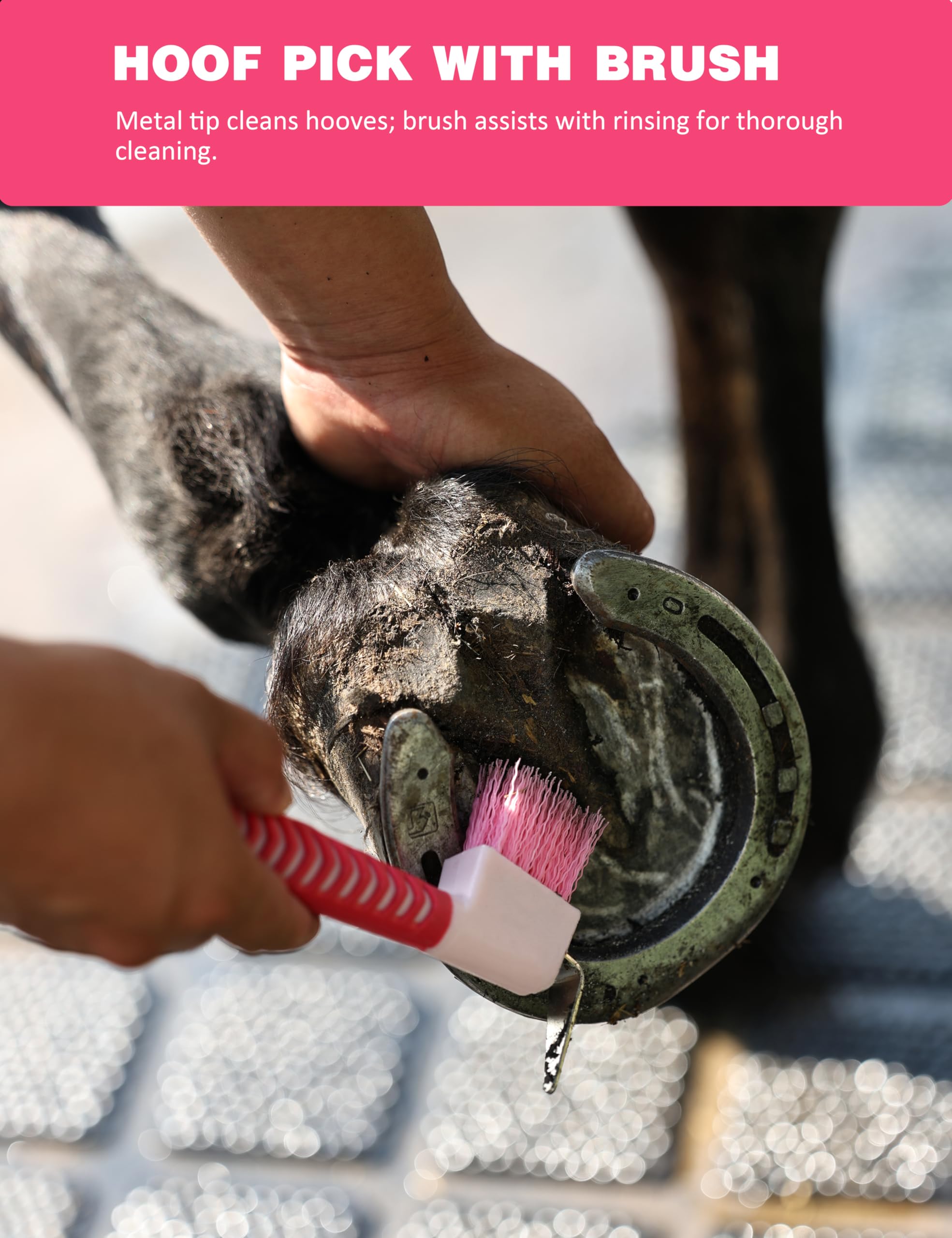 Furrishine-metal-curry-comb dense bristles on coat.
