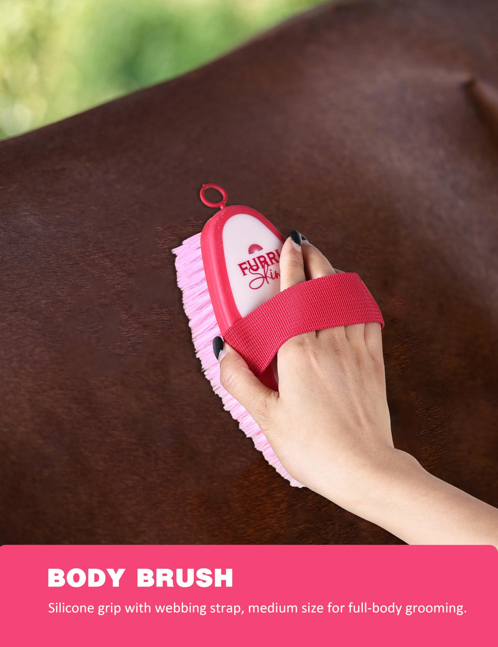 Furrishine-round-head-comb gentle detangling near mane.